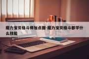 魔力宝贝格斗师加点图-魔力宝贝格斗都学什么技能