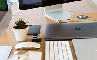 魔力百科限定坐骑“冰霜凤凰”曝光，获取方式成谜